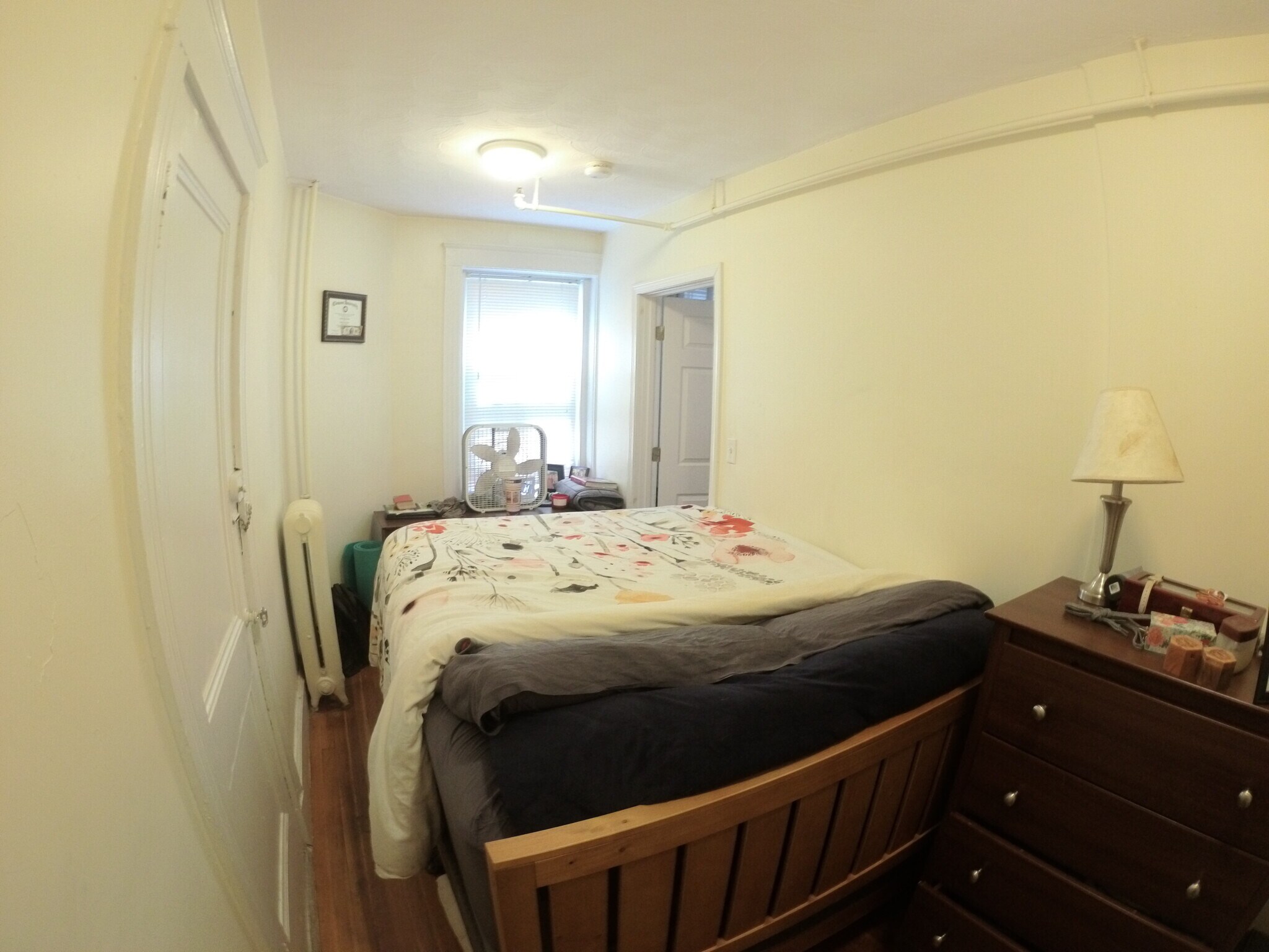 Building Photo - 1637 Commonwealth Ave