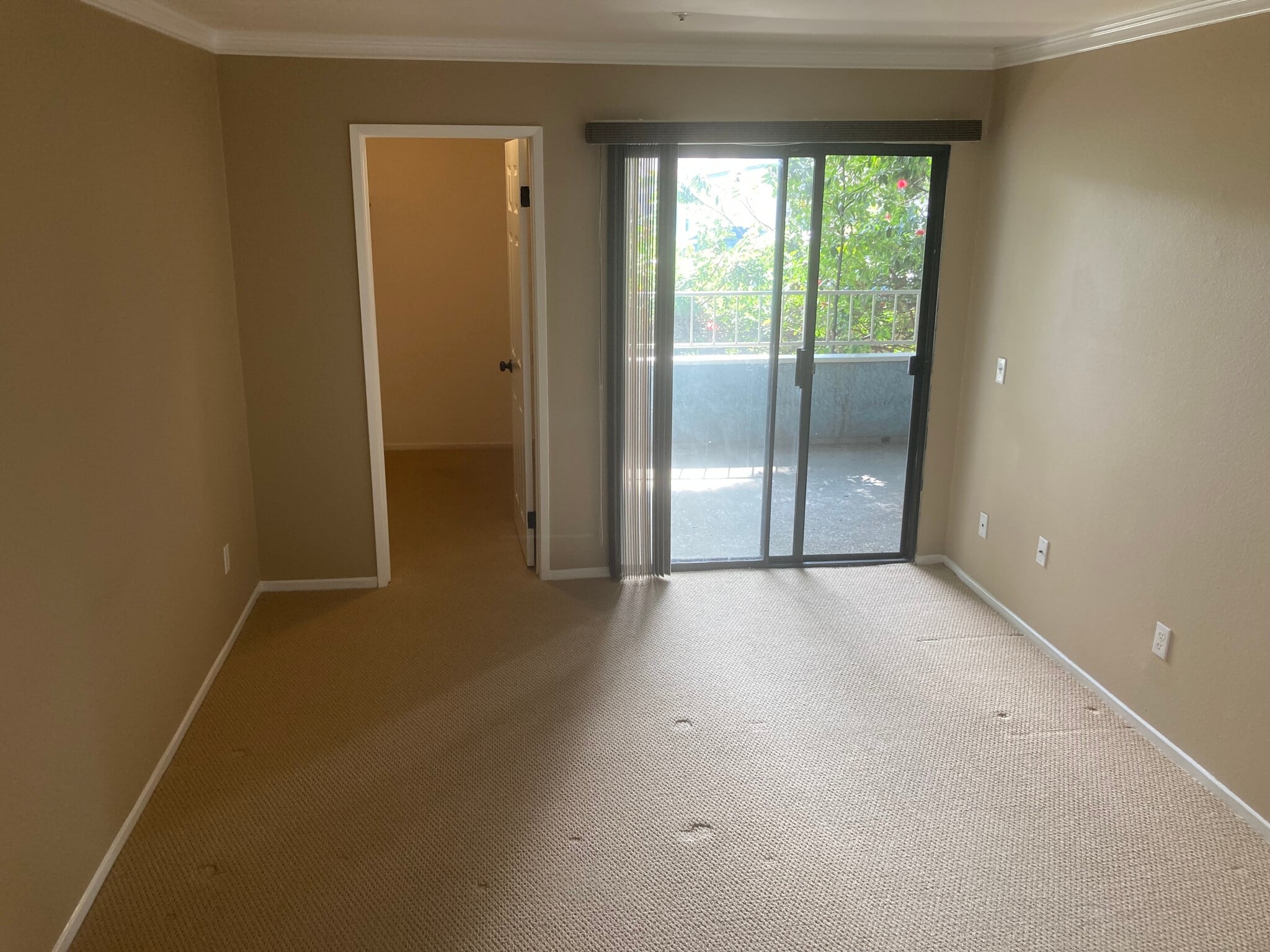 Building Photo - 550 Orange Ave