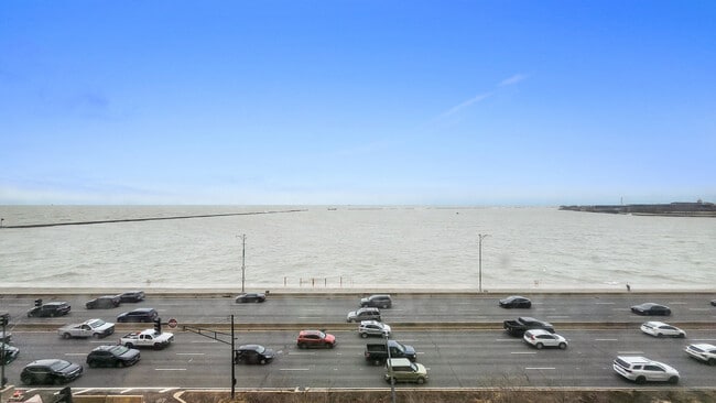 Building Photo - 850 N Lake Shore Dr