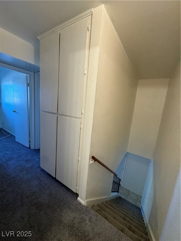 Building Photo - 1441 Dorothy Ave