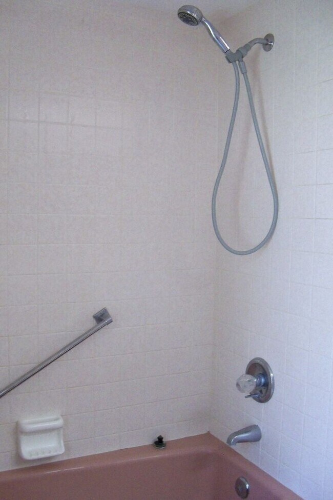 Building Photo - Beautiful Spring Hill pool home