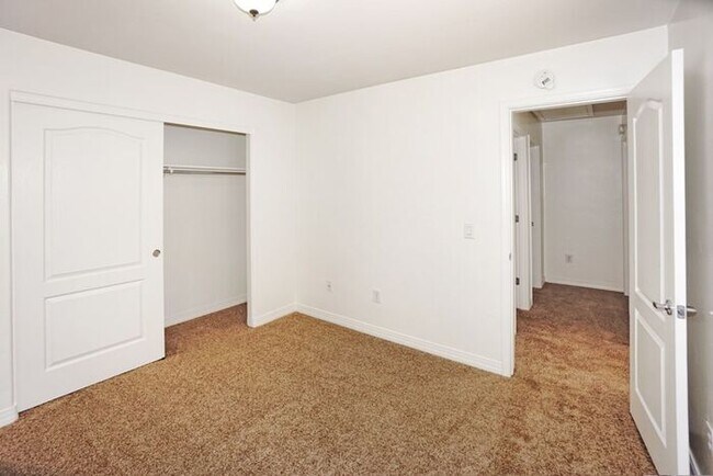 Building Photo - Tucson Oasis: 3-Bed, 2-Bath Home with Spacious Private Yard & Patio