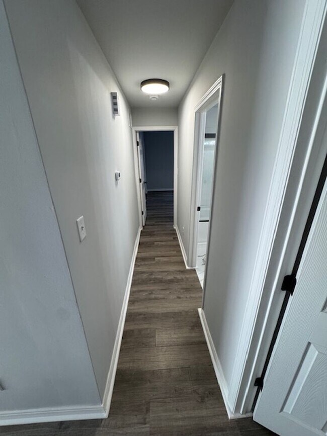 Building Photo - 2 Bedroom, 2 Bathroom Home- Cedar Lake, IN