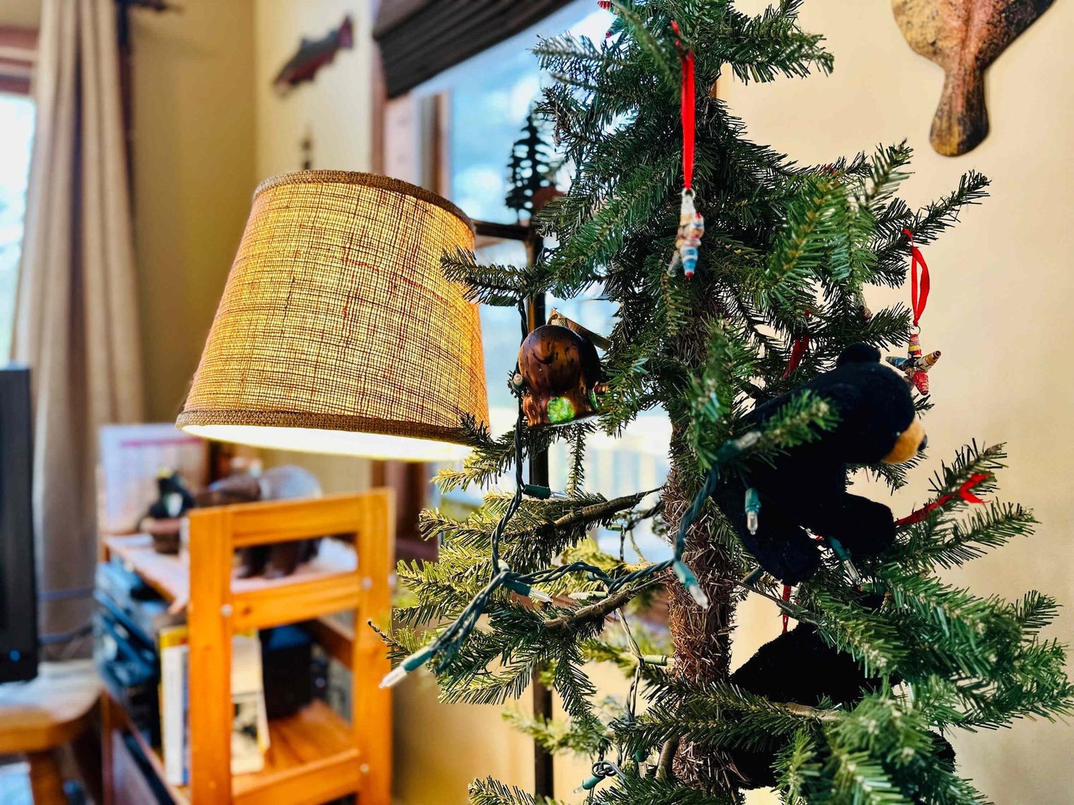 Building Photo - 610 Traci Ln