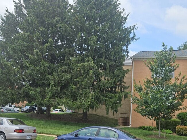 Building Photo - 2916 Peyton Randolph Dr