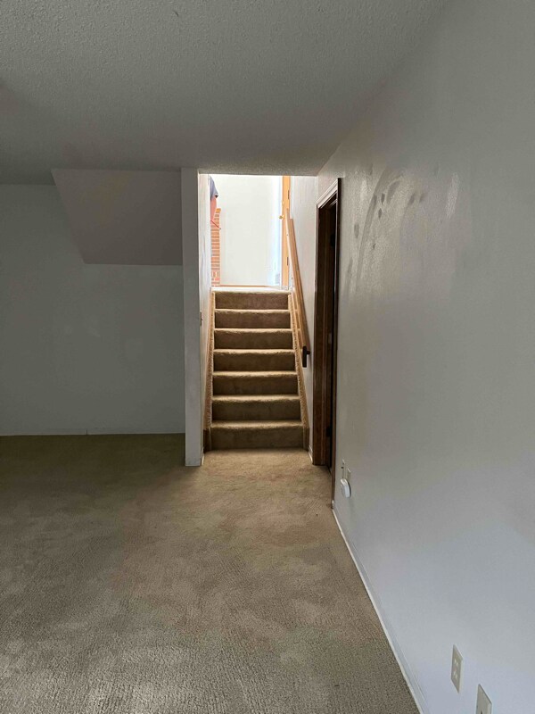 Building Photo - 3620 Sedgewood Way
