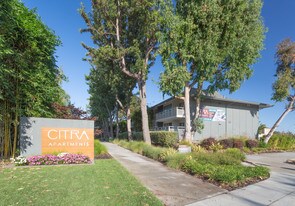 Building Photo - Citra