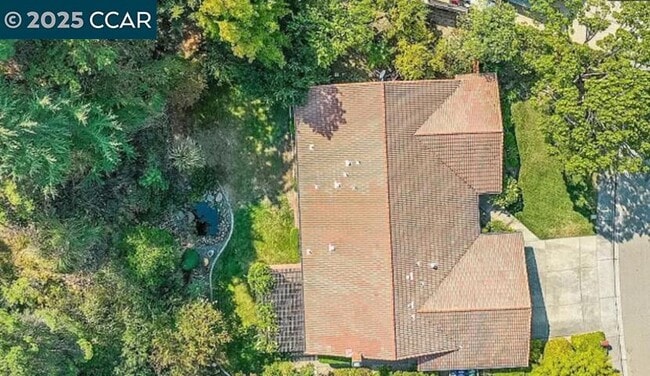 Building Photo - 224 Lasso Cir