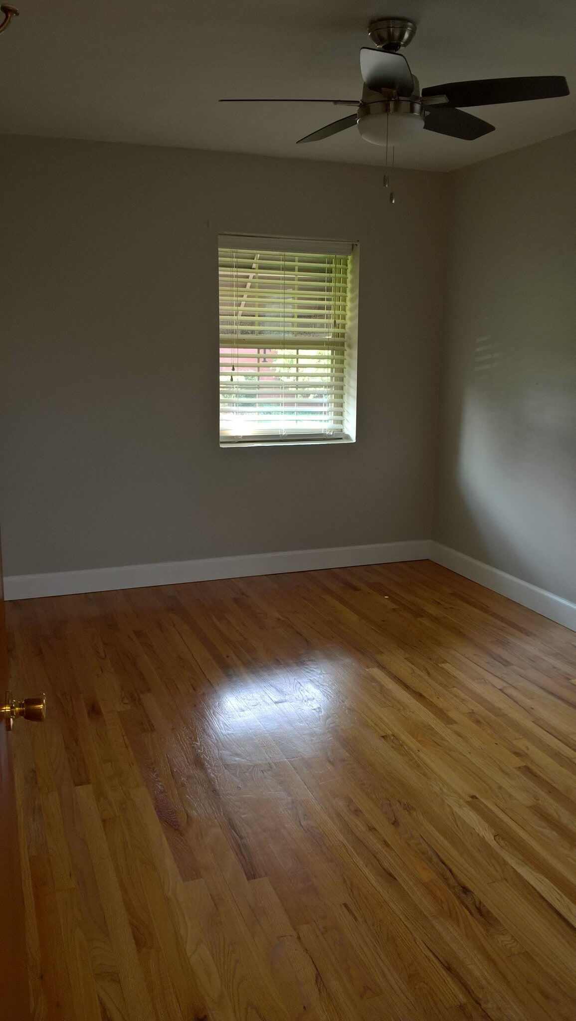 Building Photo - 1962 S Columbine St