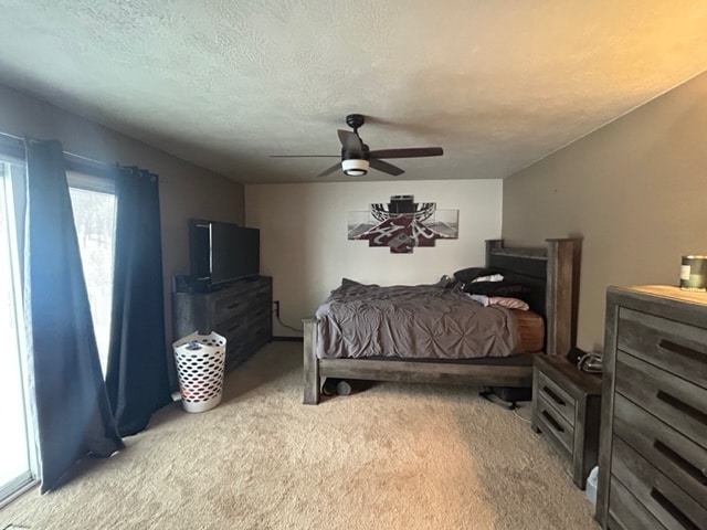 Building Photo - 103 W Lotta St