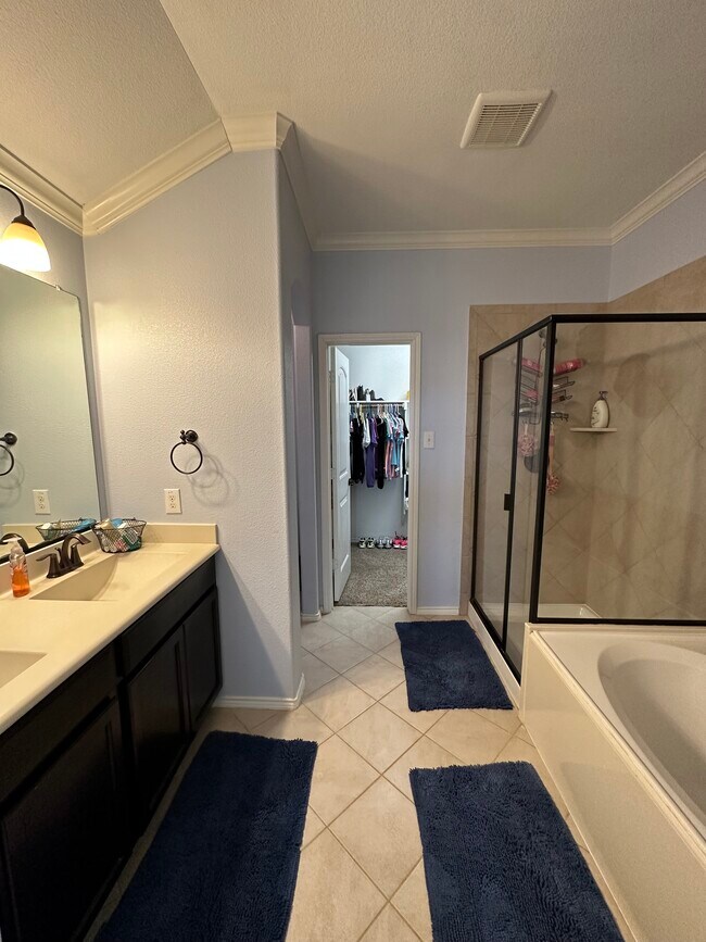 Master bath - 264 Oxford Dr