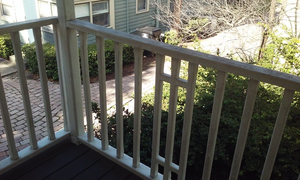 Balcony view to the South - 317 E Livingston St