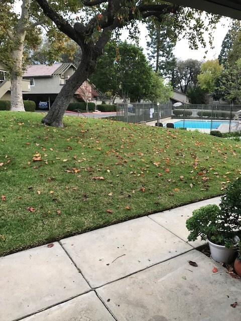 Building Photo - 486 Serento Cir