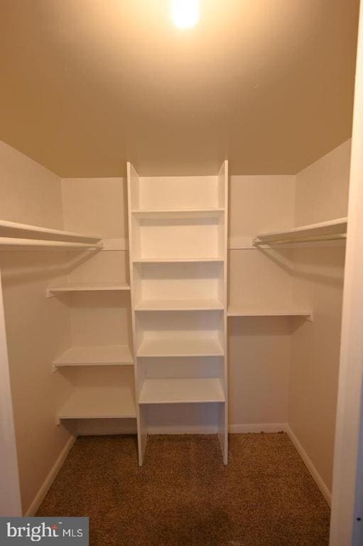 Building Photo - 2237 Castle Rock Square