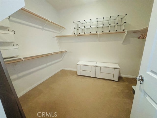 Building Photo - 5803 Greenpine Ct