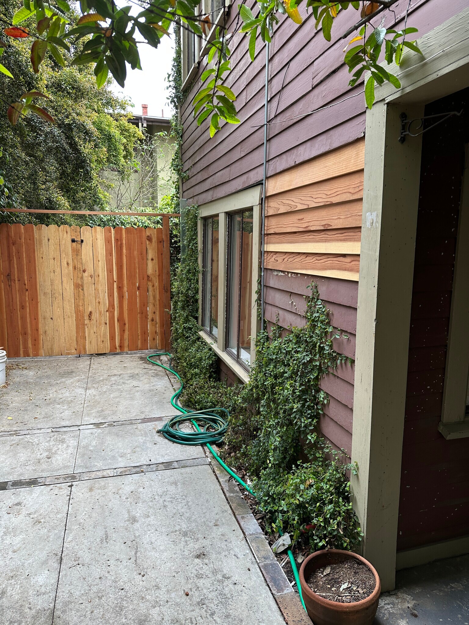 Parking or courtyard - 1489 Wallace Ave