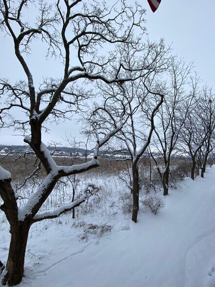 Building Photo - 8253 Mayo Dr