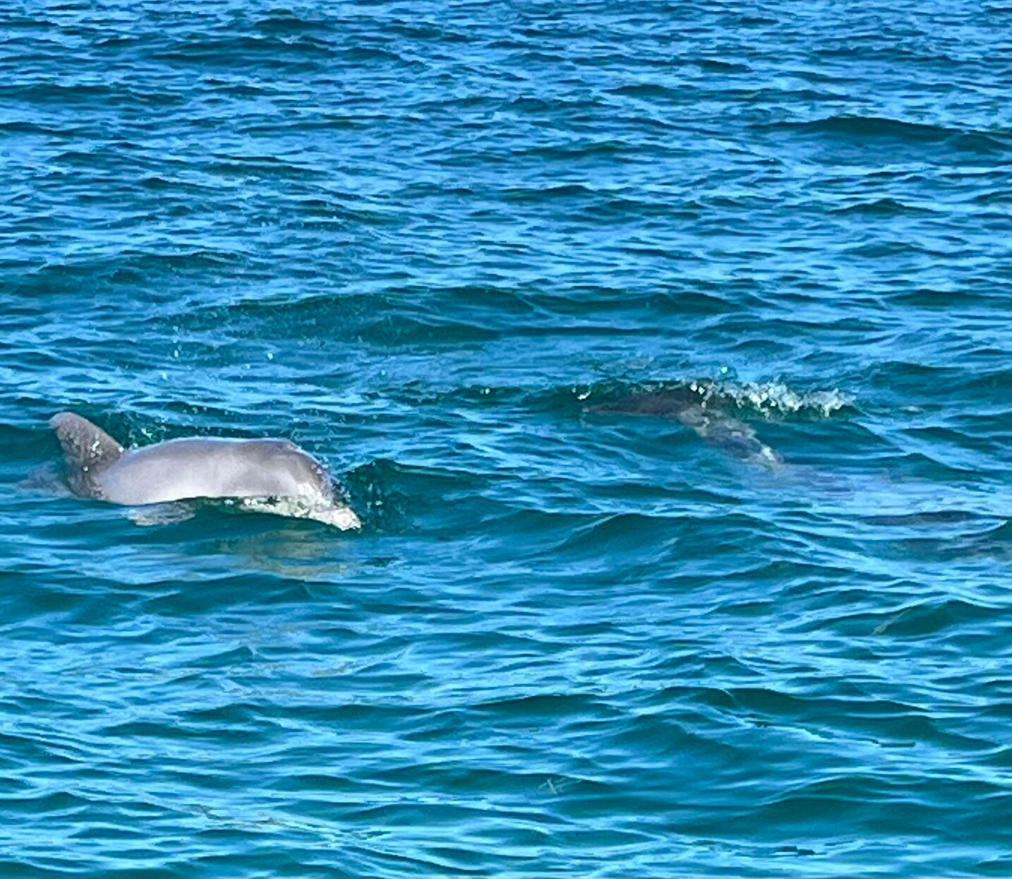 Building Photo - 5157 Silent Loop