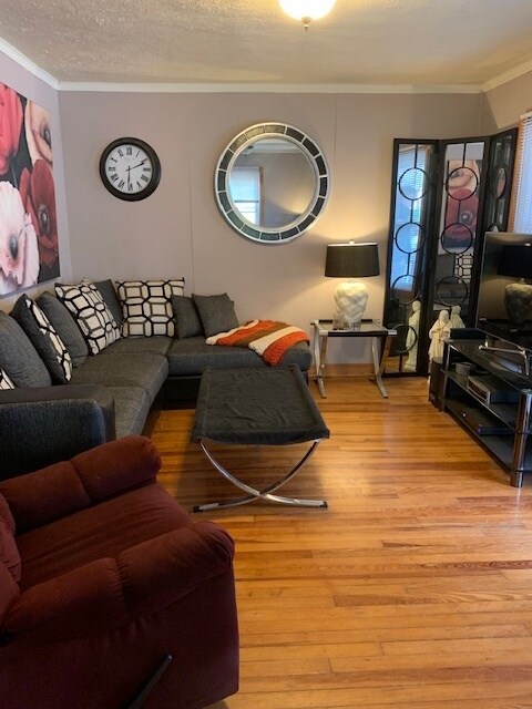 Living room - 106 E Vermilya Ave