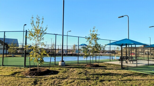 Building Photo - 21278 Catalina Palm Dr