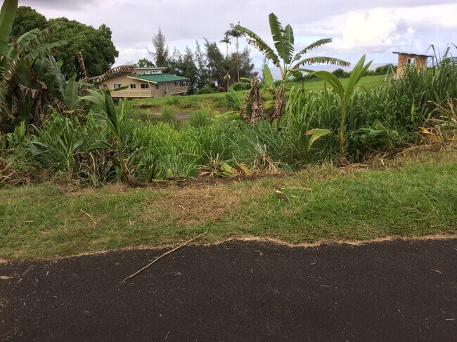 Building Photo - 32-882-882 Mamalahoa Hwy