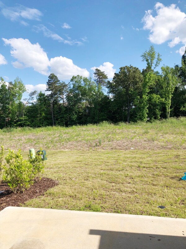 Building Photo - 825 Falls Grove Trl