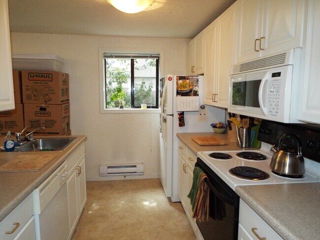 Building Photo - Spacious 1BR w/ Off-Street Parking | Quiet 4-Unit Building + Pet Friendly
