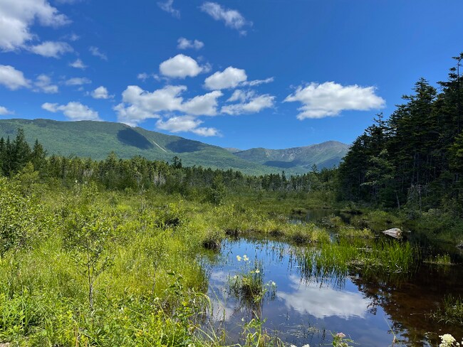 Building Photo - 109 Main St