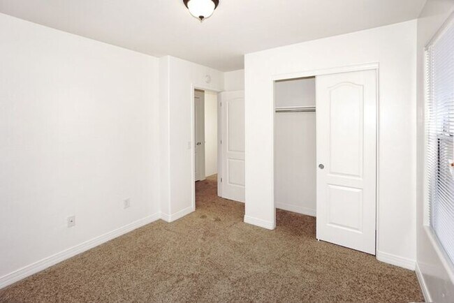 Building Photo - Tucson Oasis: 3-Bed, 2-Bath Home with Spacious Private Yard & Patio