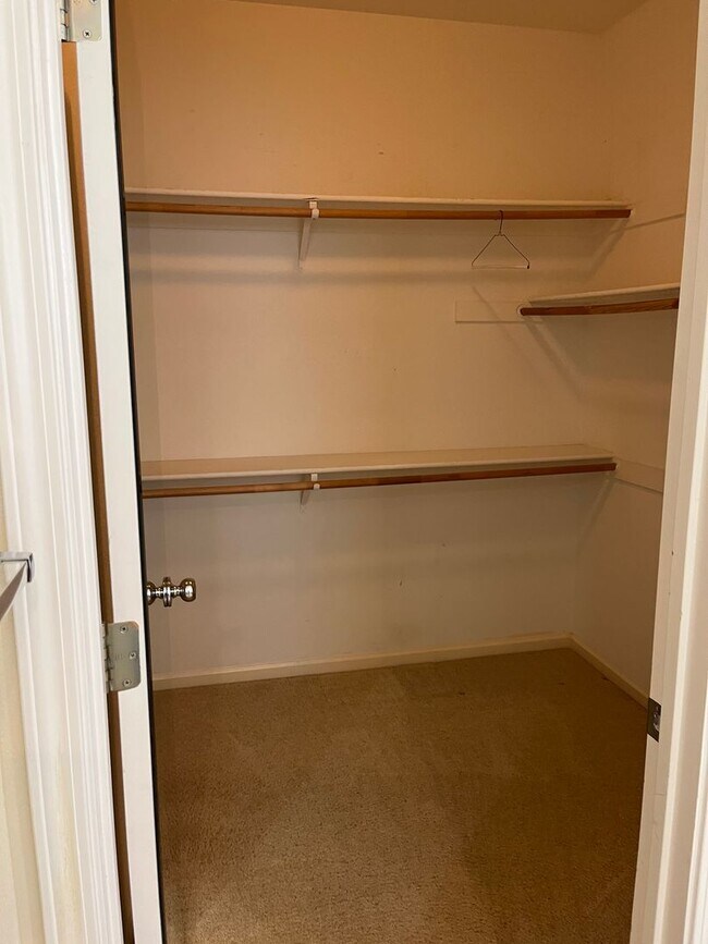 Building Photo - Beautiful Large Home in Wildhorse