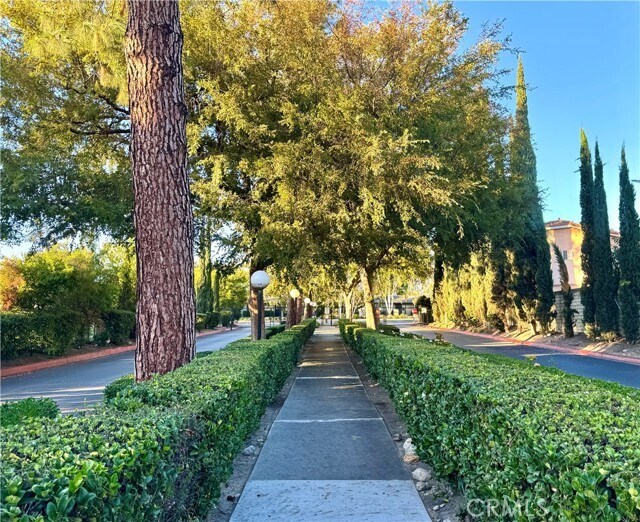 Building Photo - 143 Marywood Ave