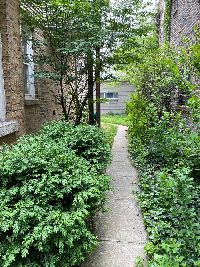 Side yard - 2013 W Cortland St