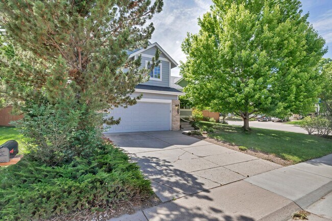 Building Photo - Spacious Home in Castle Rock