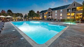 Building Photo - Riva Terra Apartments at Redwood Shores