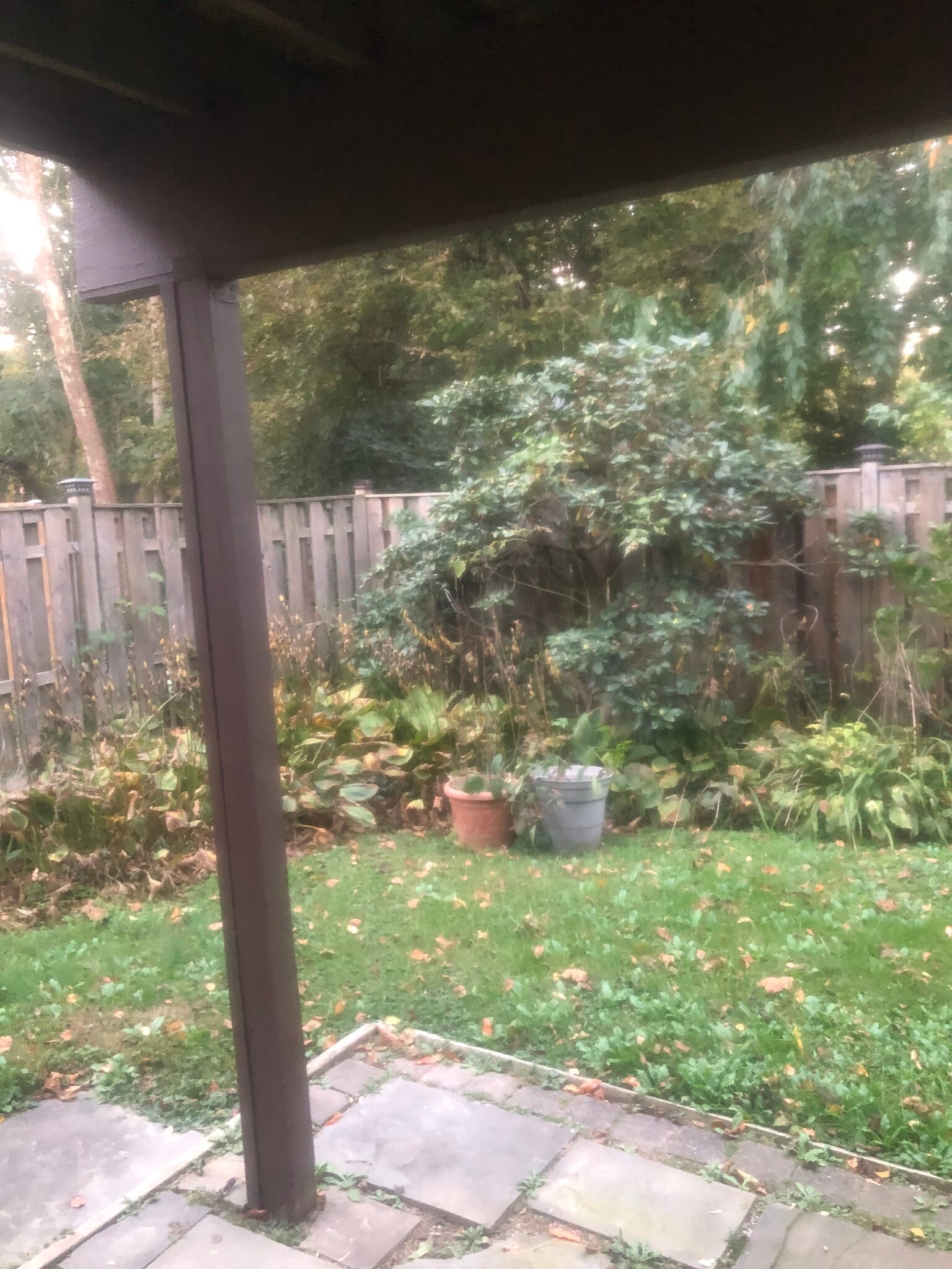 Backyard - 19628 Club Lake Rd