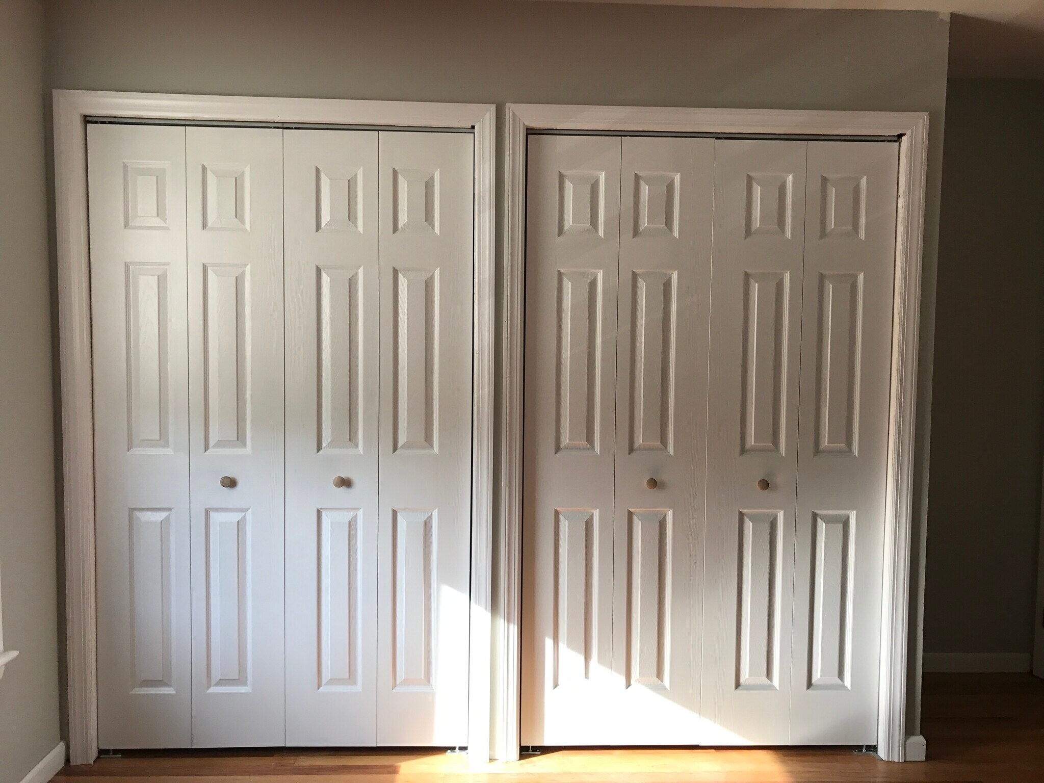 master double closet - 726 Meacham Ave