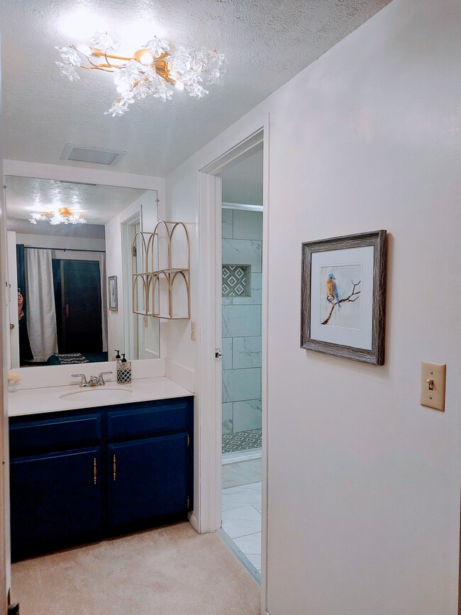 ensuite master bathroom - 245 N Vine St