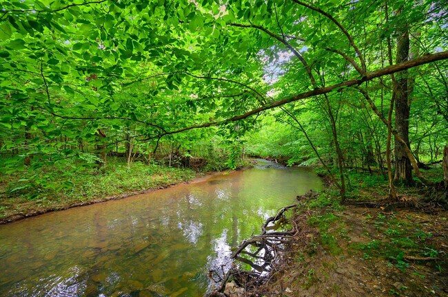 Building Photo - 47 White Pne Rd