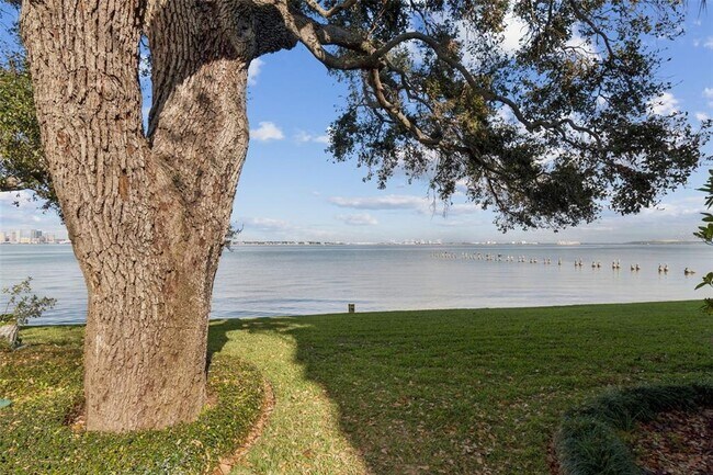 Building Photo - 5010 Bayshore Blvd
