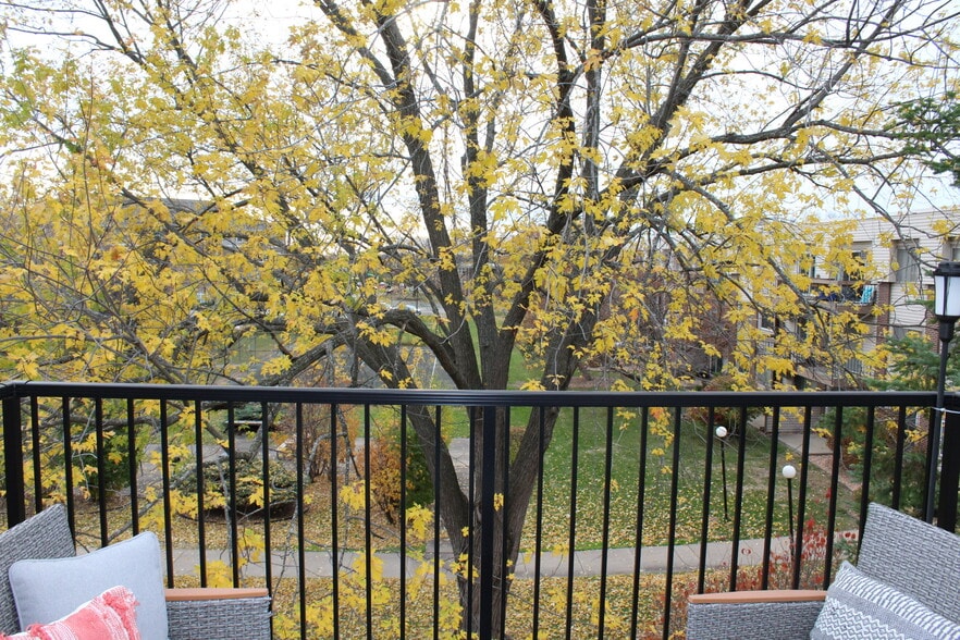 Large Trees for Privacy - 2800 Hillsboro Ave N