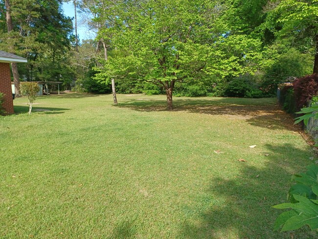 Backyard 2 - 1303 Skyline Dr