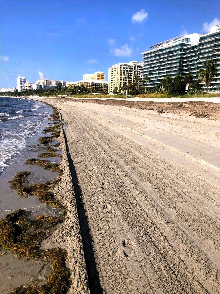 Building Photo - 350 Ocean Dr