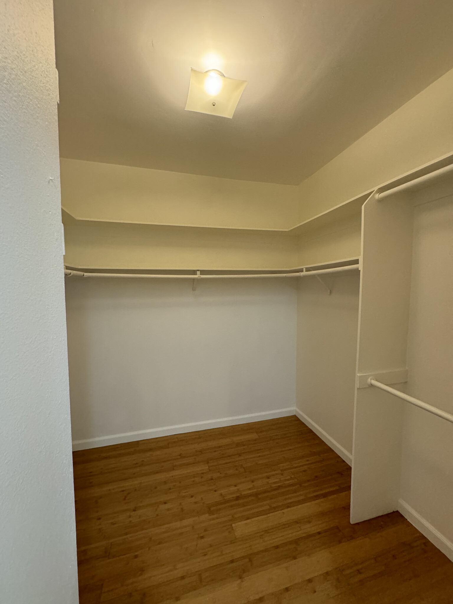 Walk-in Closet - 321 S San Vicente Blvd