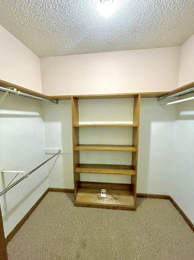 Building Photo - Large 3 bed / 2 bath Available Now!