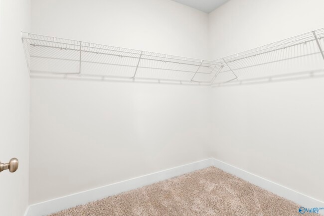 Building Photo - 145 Chesire Cv Ln