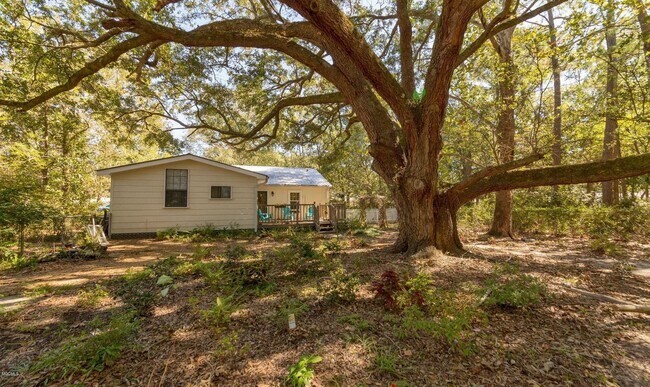 500+ yr old Live oak in Fenced back yard - 403 Bechtel Blvd
