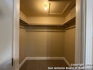 Building Photo - 243 Storeywood Dr
