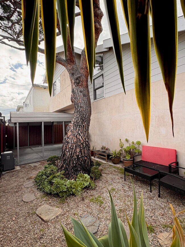 Backyard east - 1948 S Holt Ave