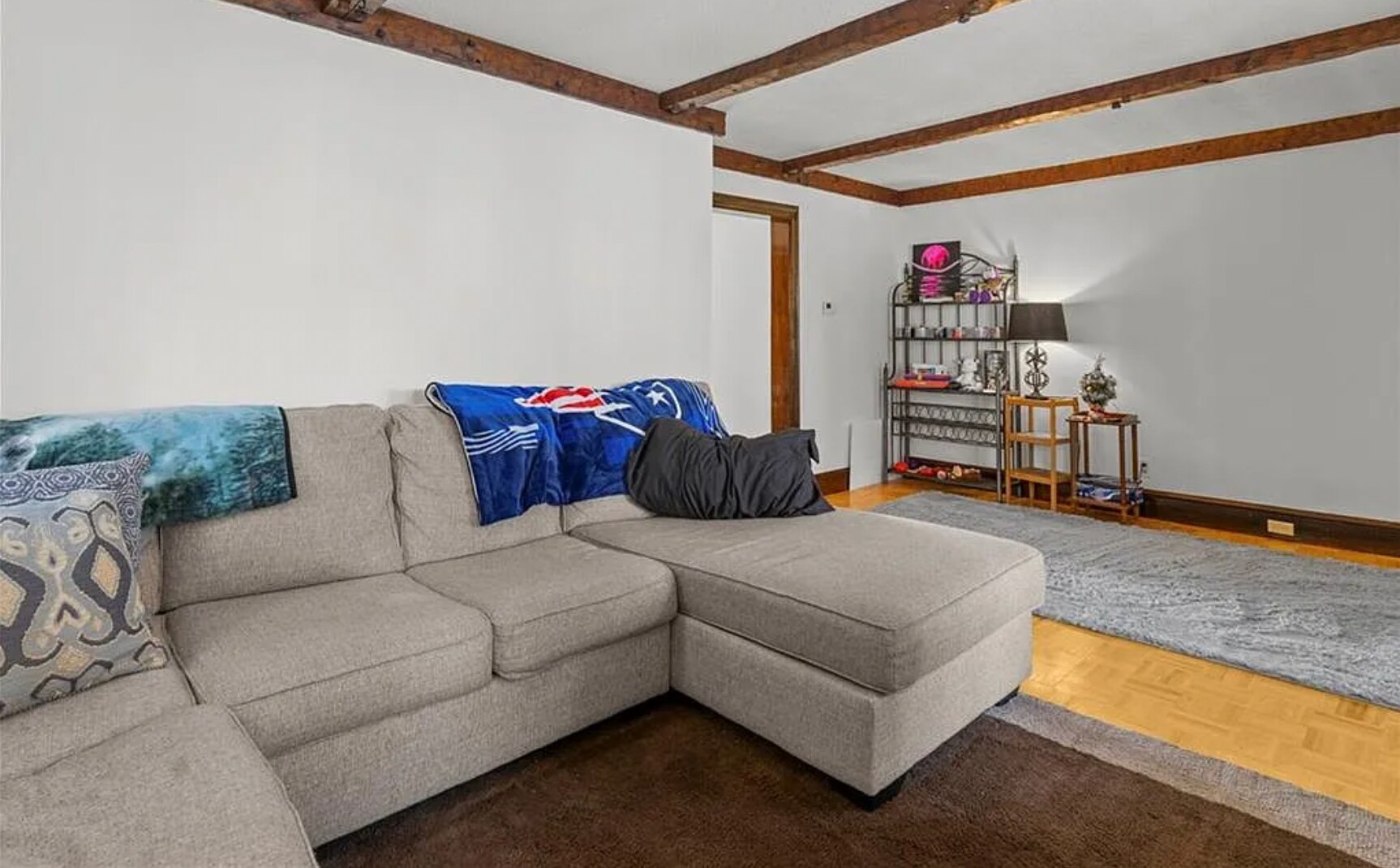 Living Room - 171 Leonard Ave