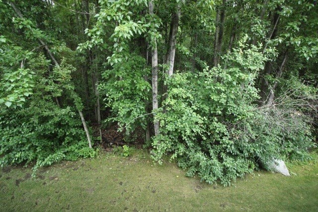 Building Photo - 3 Bedroom Condo in East Anchorage!